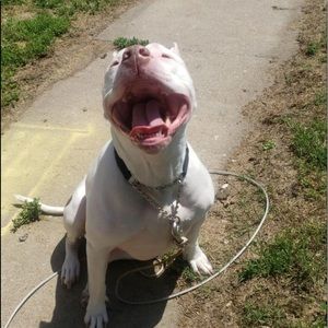 Meet your Posher, Brookston